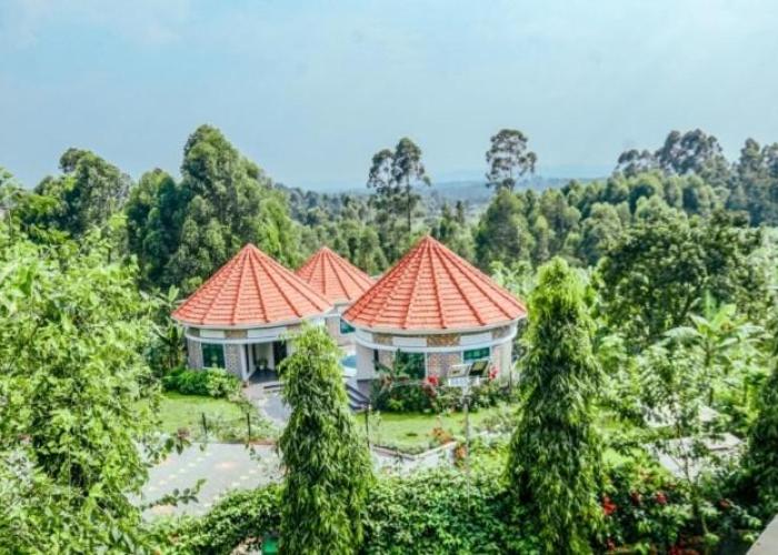 Ahaka cottages mbarara