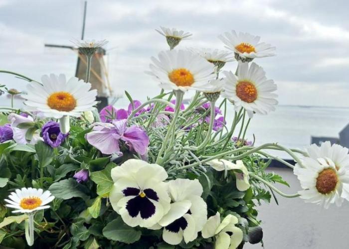 Unieke Penthouse met royaal dakterras en Zeezicht VP085