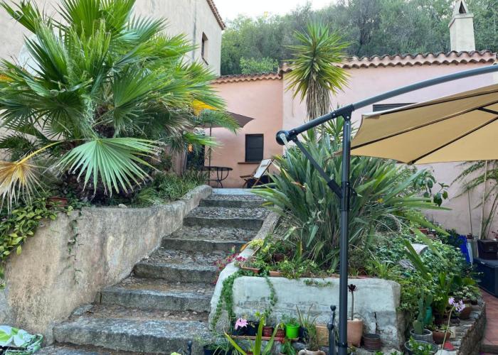 Il Gatto di Monte Attu