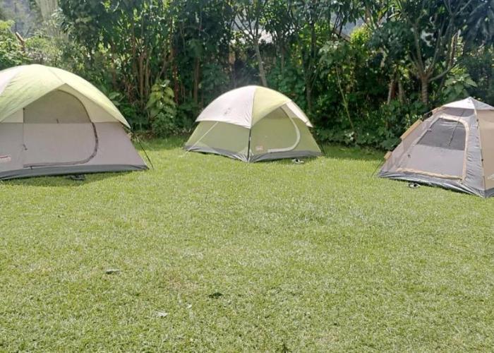 Mist Rwanda Stay Inn