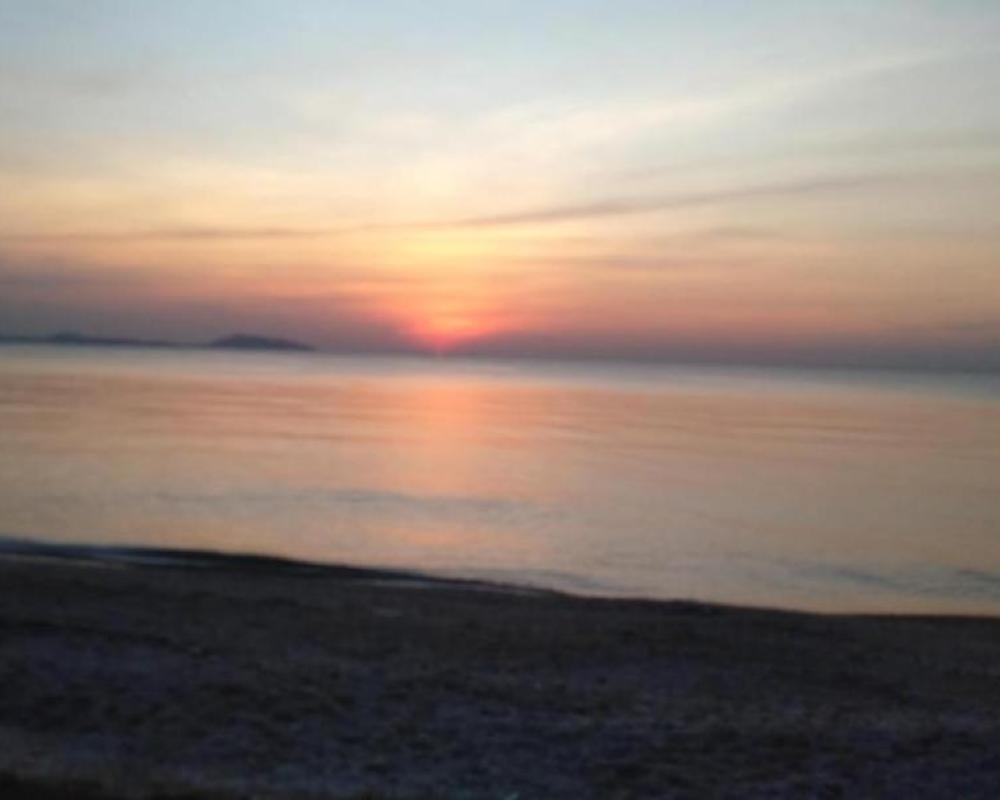 фото Nabq paradise