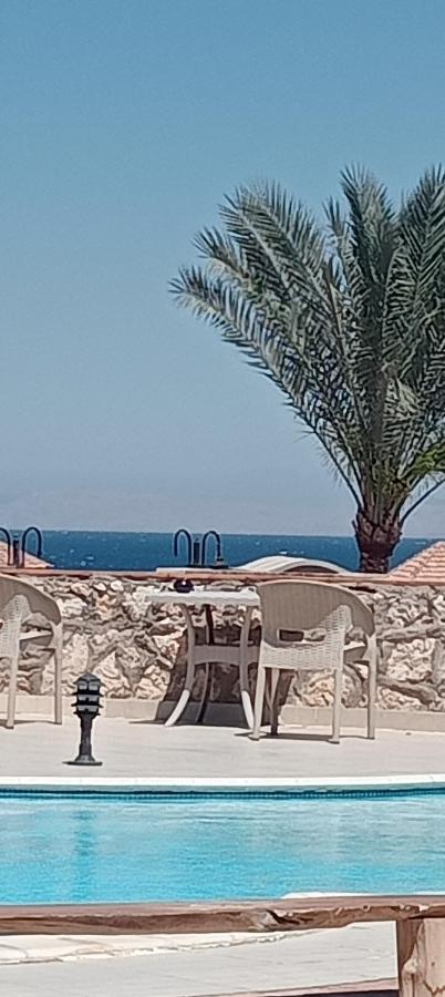 фото Nabq paradise