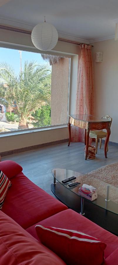 фото Nabq paradise