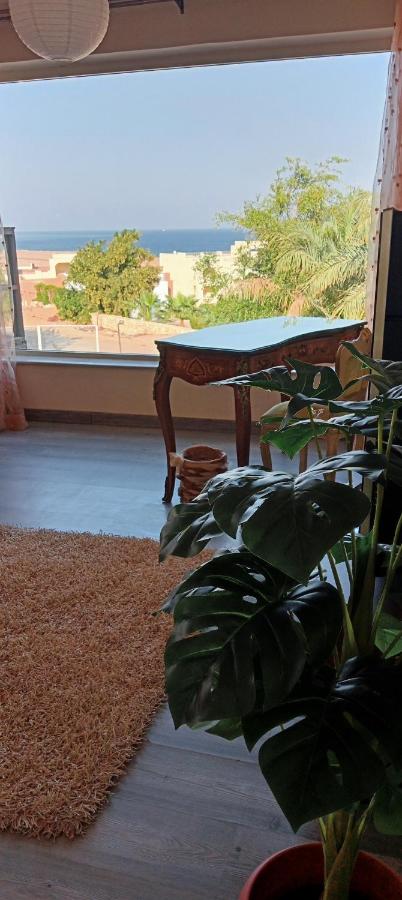 фото Nabq paradise