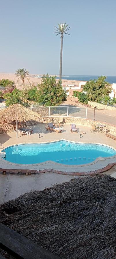 фото Nabq paradise