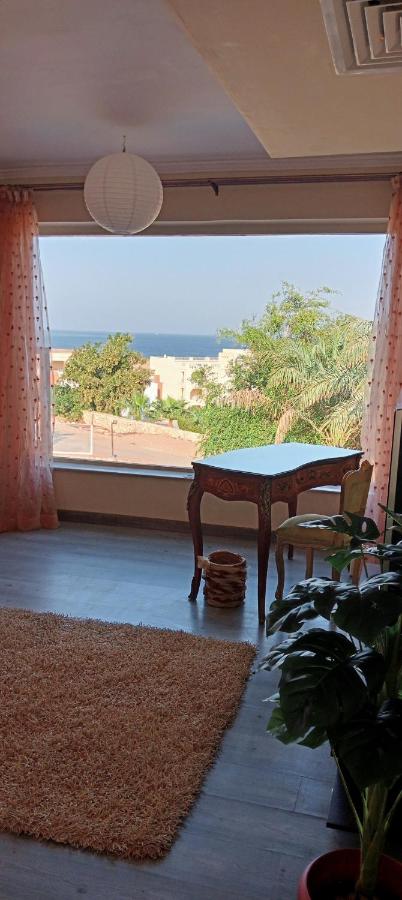 фото Nabq paradise