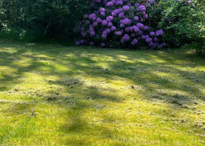 Holiday homes Sandskogen-Ystad