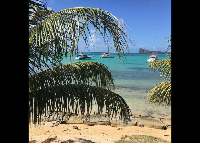 Paradise Escape