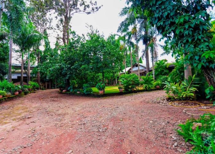 Cozy Nature Escape in Moshi