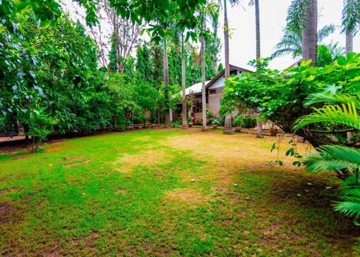 Cozy Nature Escape in Moshi