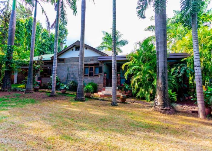 Cozy Nature Escape in Moshi