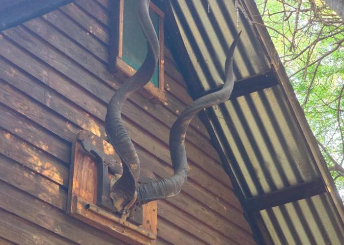 mokolodi Conservancy Chalets