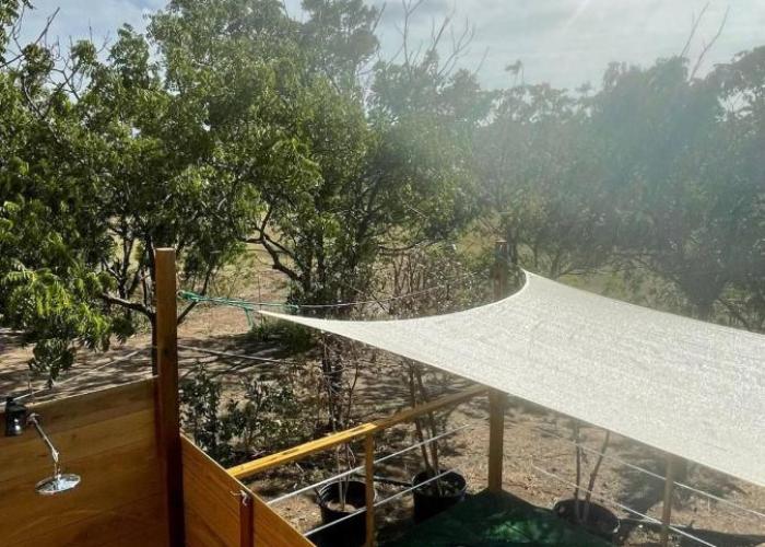 Eco-Friendly Glamping with Private Pool