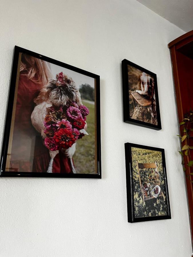фото The Nest Above Sofia Studio