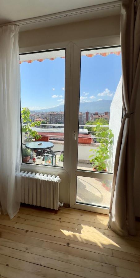 фото The Nest Above Sofia Studio