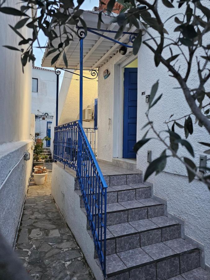 фото Δελφίν