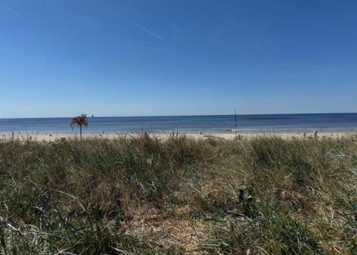 Short Stay Zandvoort at 68