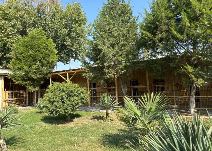 Guesthouse Набережная