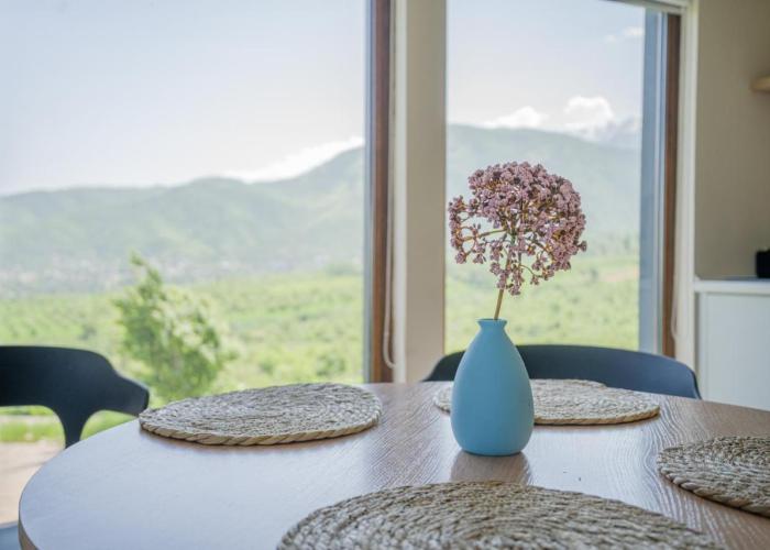 Almaty Hills VIP House