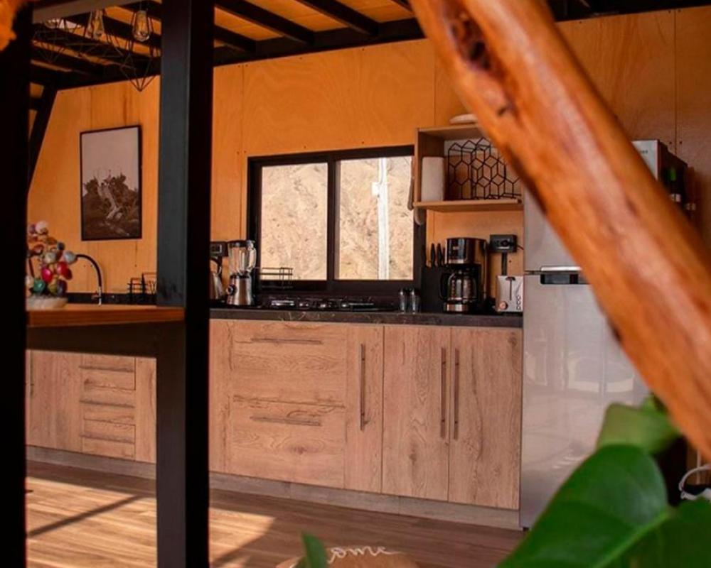 фото Ann Cabin