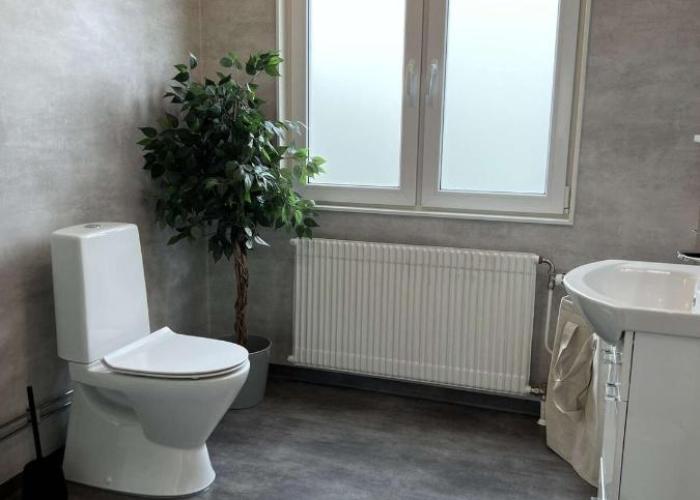 Newly refurbished Apartment