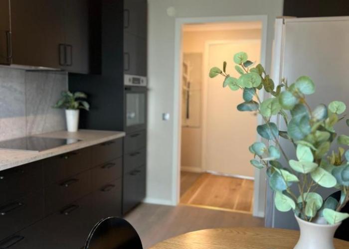 Newly refurbished Apartment
