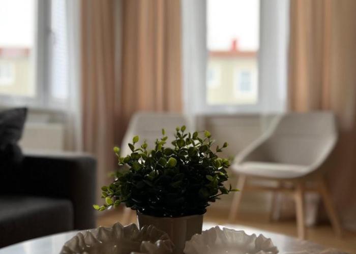 Newly refurbished Apartment