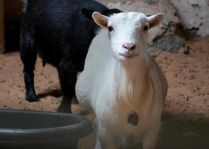 la luxury farm