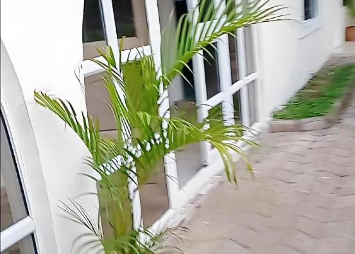 The Bougainville Apartments