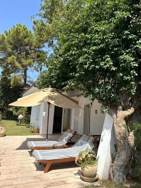 фото Villa Piscine privée