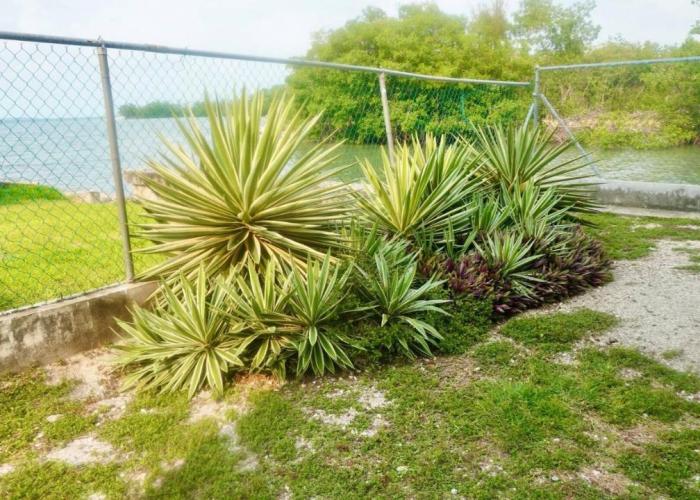 Sea Garden View 2-bed Studio w Pool Deck, 1stFl