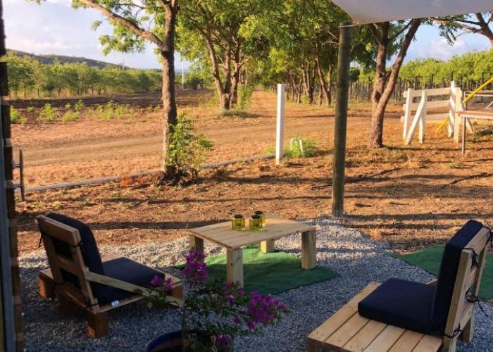 Las Palmas Cottage - Serene Eco Retreat