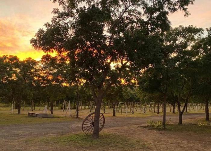 Pitahaya Retreat - Cozy Glamping Escape