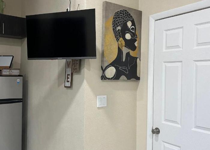 Apartment and Car Rental
