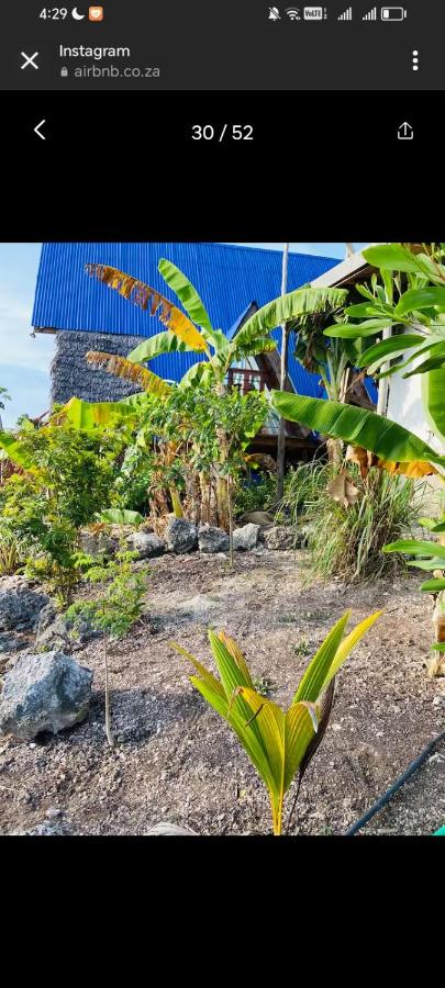 michamvi mangrove cabin