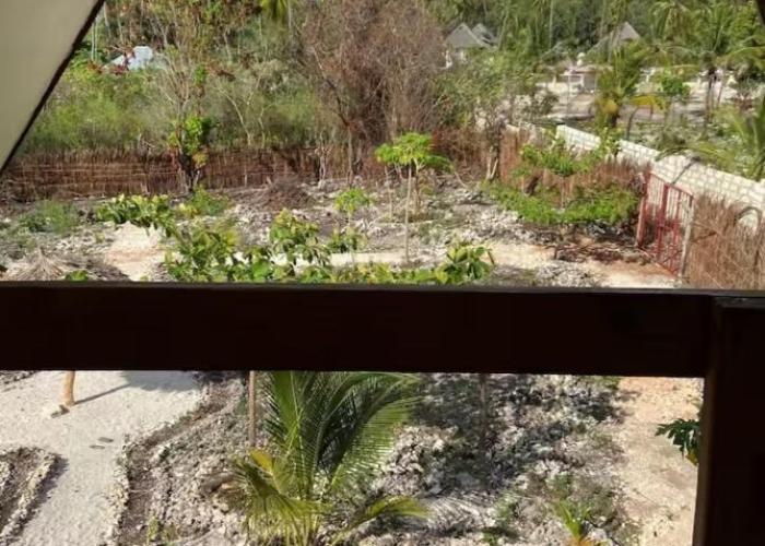 michamvi mangrove cabin
