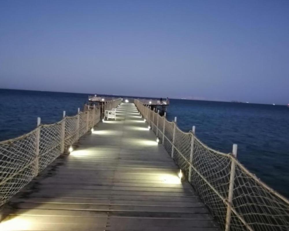 фото Mohamed talaat