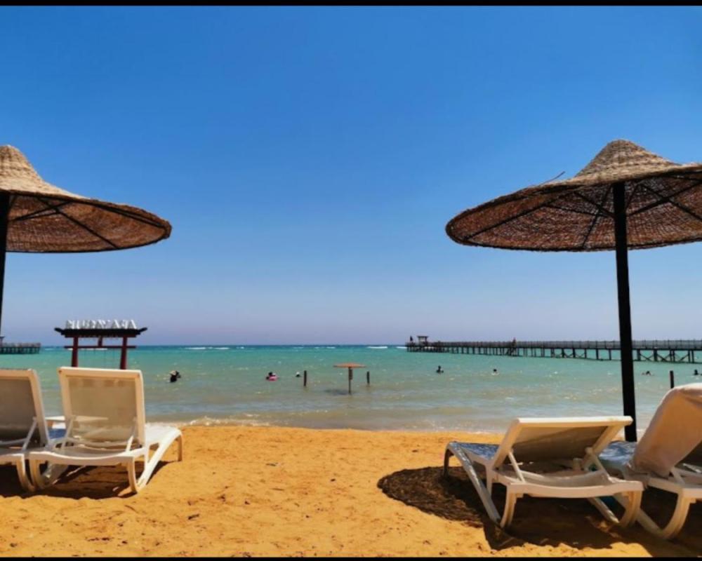 фото Mohamed talaat