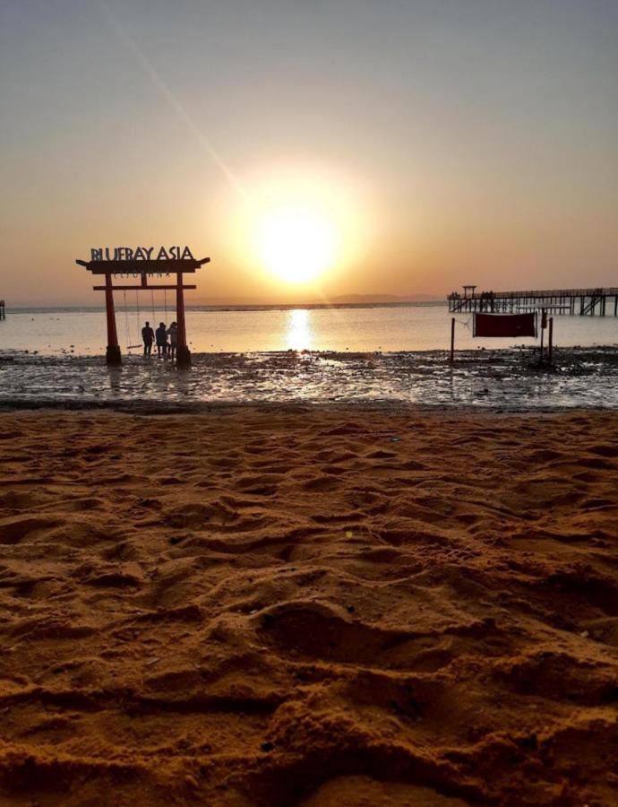 фото Mohamed talaat