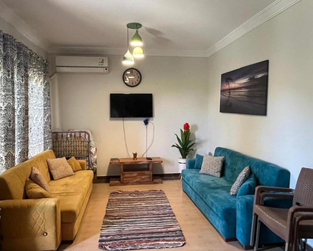 фото Mohamed talaat