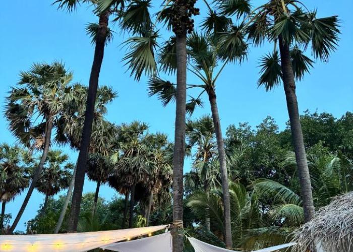 Bliss Cabana