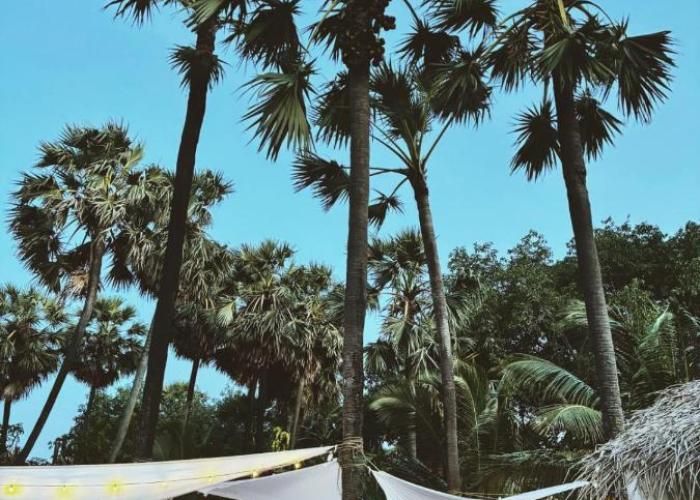 Bliss Cabana