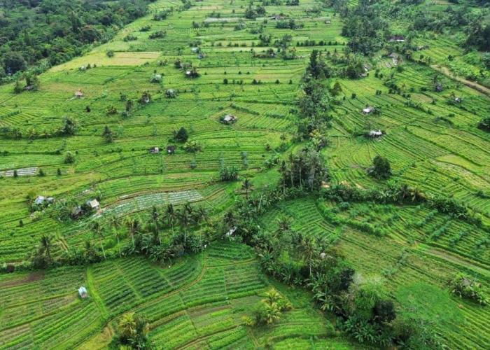 Anantalla Homestay
