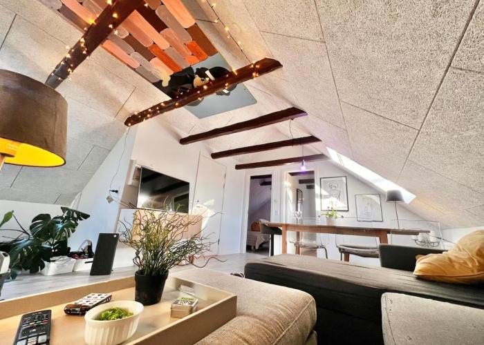 Dalgade loft and living