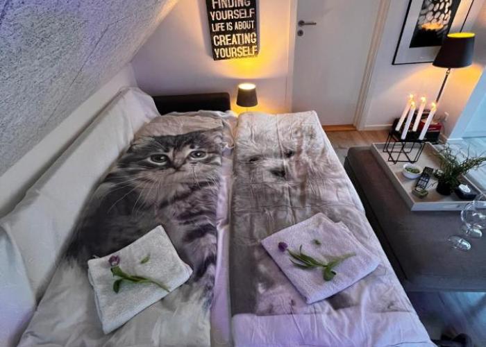 Dalgade loft and living