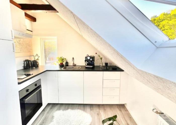 Dalgade loft and living