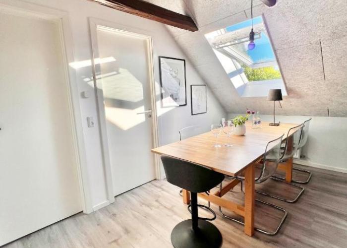 Dalgade loft and living
