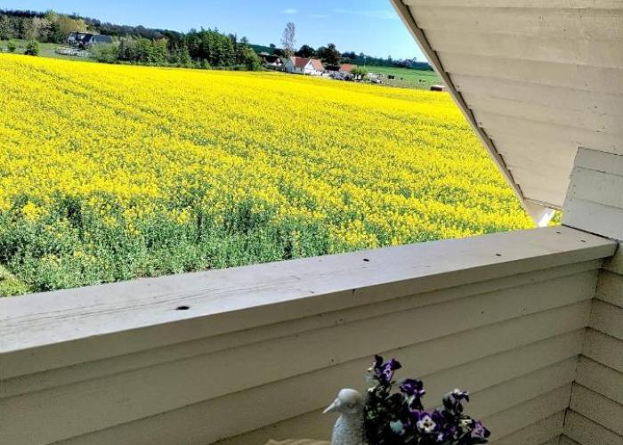Tornhusets Lägenhet