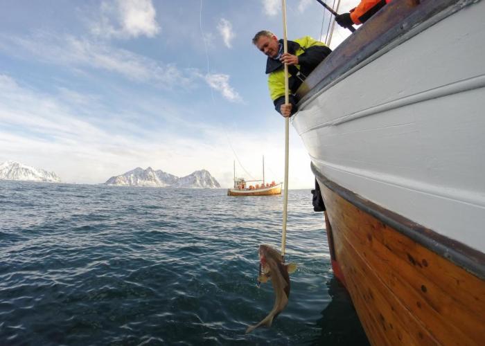 Nordis Hotel Lofoten