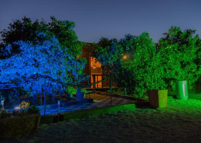 Asbn Magic Garden